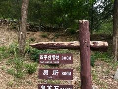 -鬼笑石后山停车场