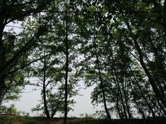 -昭山风景名胜区