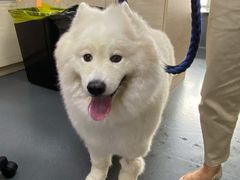 -爱侣宠医·鹦鹉专科·小型哺乳类·异宠专科(灵石路店)