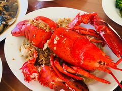 波士顿龙虾-盒马鲜生(大成店)
