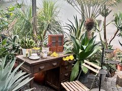 -禧室Joyous Lounge(禧园店)