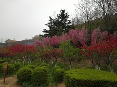 -青州市云门山风景区