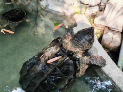 -大连森林动物园