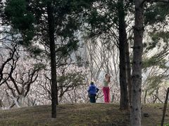 -元大都城垣遗址公园