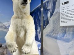 -北京中西医结合医院