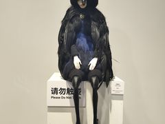 -辰熙ACX星海艺术中心