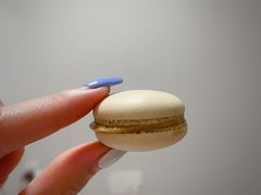 -BLACKSWAN黑天鹅(环球店)