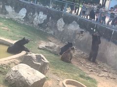 -无锡动物园·太湖欢乐园
