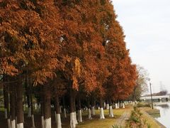 -白塘生态植物园