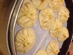 iphone_upload_pic-老班长手工灌汤包老店(东山店)