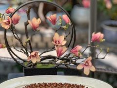 -悦真雅院·四合院·清真私房菜(雍和宫店)