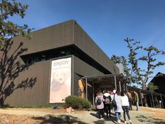 -济州岛泰迪熊博物馆