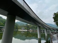 -银湖山郊野公园-相思林