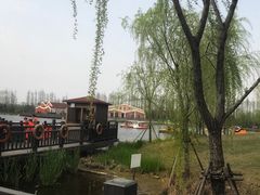 -上海长兴岛郊野公园