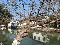 -金泽古镇