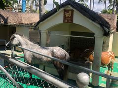 -三亚亚龙湾天域度假酒店