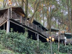 -巴倒烫陆派火锅山庄(南山总店)