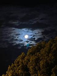 点击看大图 -MLYG美来瑜伽·普拉提