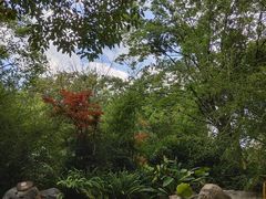 -昆明柏联SPA温泉