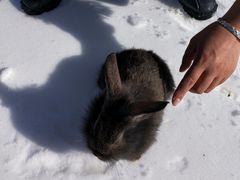 -华彬猛犸滑雪场