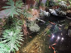 -聚缘堂·海鲜私房菜(松岭路店)