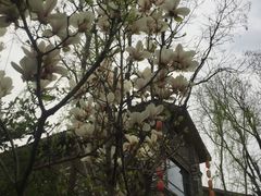 -终南山古楼观历史文化景区