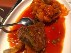 松鼠大桂鱼-绿波廊(豫园店)