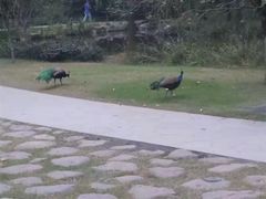 -兰剑驾校(汉阳校区)