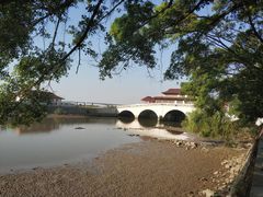 -大湾区中央湿地公园