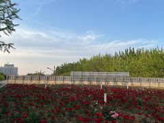 -沙沙哗啦海洋馆(华宇百花谷店)