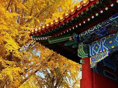 -中央广播电视总台(光华路办公区)