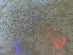 -大理地热国
