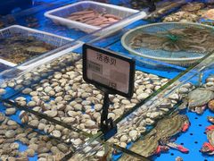 -鲜得莱渔港·小平岛海胆馆(七贤岭店)