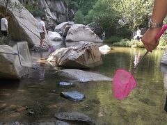 -碓臼峪自然风景区