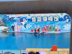 -北戴河圣蓝海洋公园