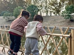 -洋湖国家湿地公园