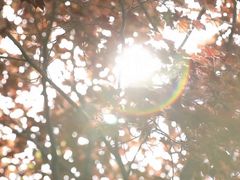 -上海虹桥迎宾馆
