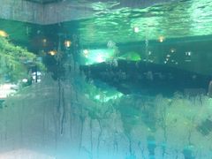 鲟龙鱼-年辉渔村·非遗传承餐厅(新丰江店)