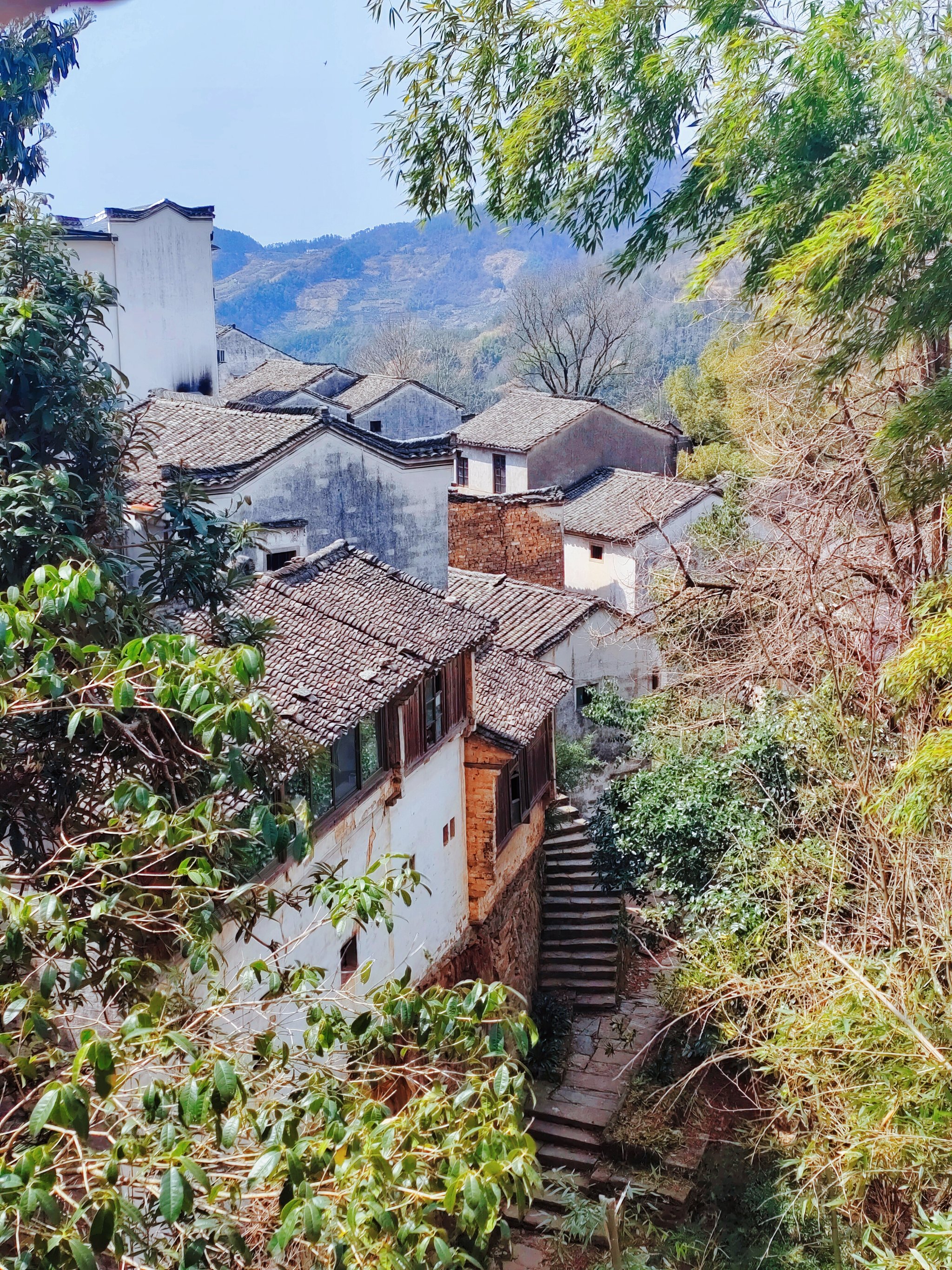 歙县坡山村农家乐住宿图片