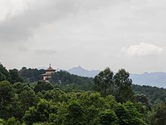-金水泊山庄·花椒鸡(铁山坪店)