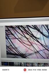 -史云逊养发护发