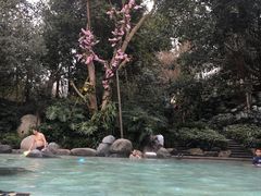 -青城道汤池