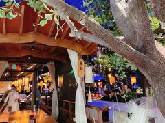 -绿茶餐厅(乐峰广场店)