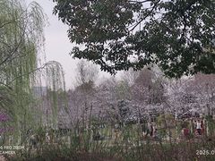 -堤角公园
