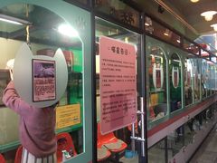 -猫咪博物馆(顶澳仔猫街店)