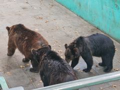 -西霞口神雕山野生动物世界