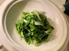 -西郊5号·Maggie 5