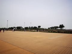 -东疆建设开发纪念公园