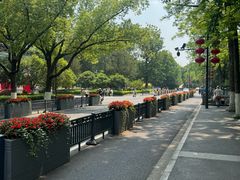 -南京中国近代史遗址博物馆(南京总统府)