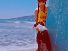 -西涌国际滨海旅游区